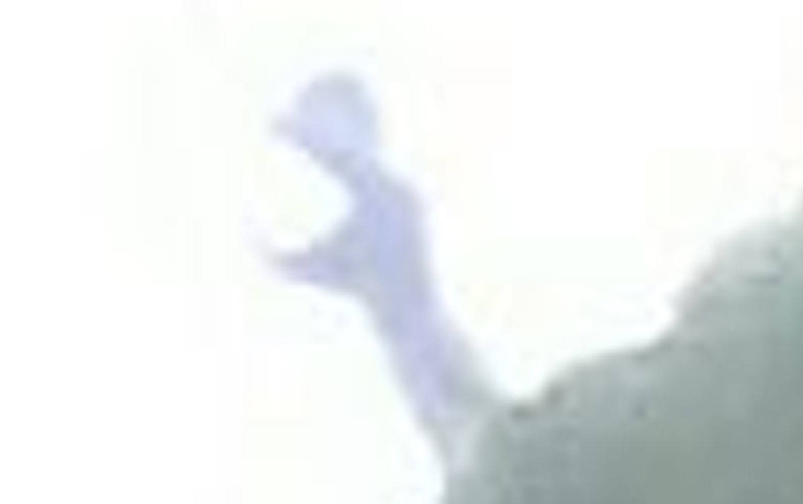 Fallback Image